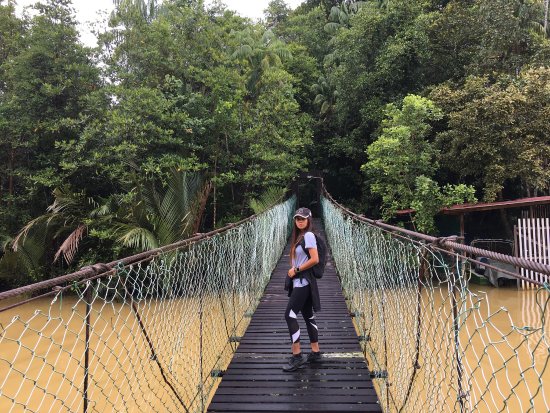 https://mdw-travel-data-us-east-1.s3.amazonaws.com/img/country/Malaysia/Similajau-National-Park/img_00.jpg