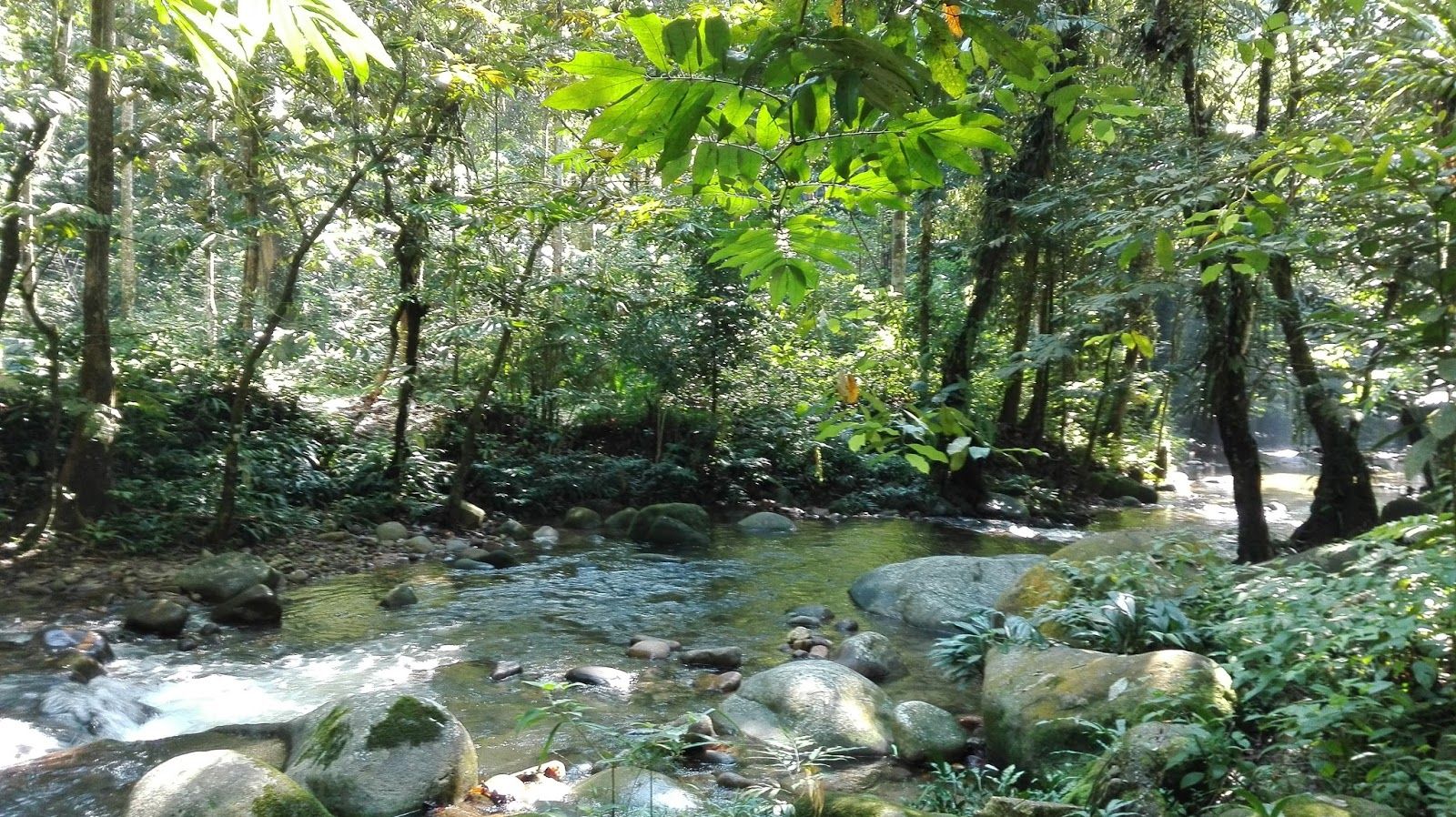 https://mdw-travel-data-us-east-1.s3.amazonaws.com/img/country/Malaysia/Sungai-Congkak-Recreational-Forest/img_03.jpg