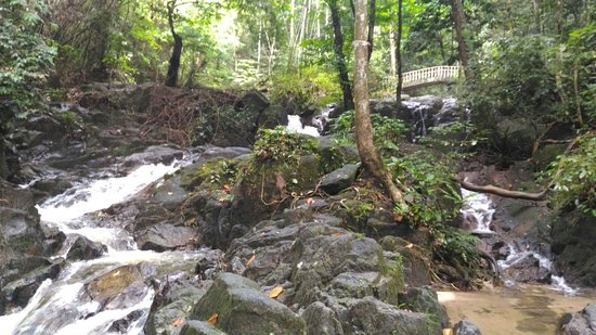 https://mdw-travel-data-us-east-1.s3.amazonaws.com/img/country/Malaysia/Sungai-Tekala-Recreational-Forest/img_03.jpg