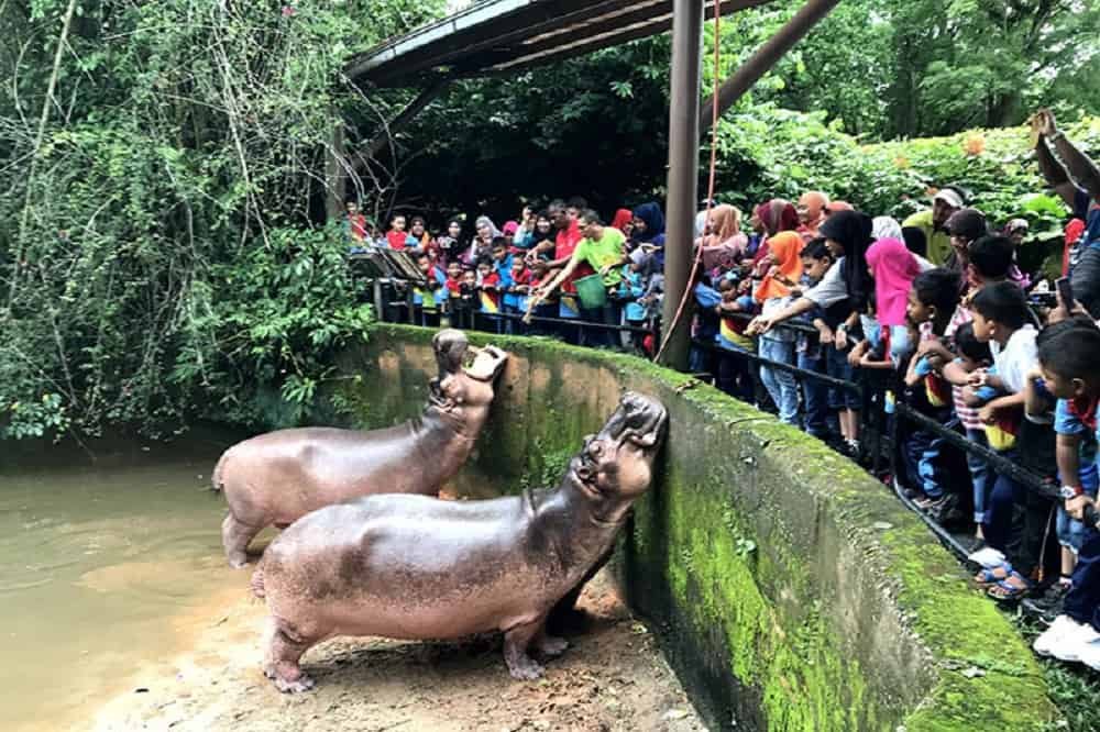 https://mdw-travel-data-us-east-1.s3.amazonaws.com/img/country/Malaysia/Taiping-Zoo-and-Night-Safari/img_03.jpg