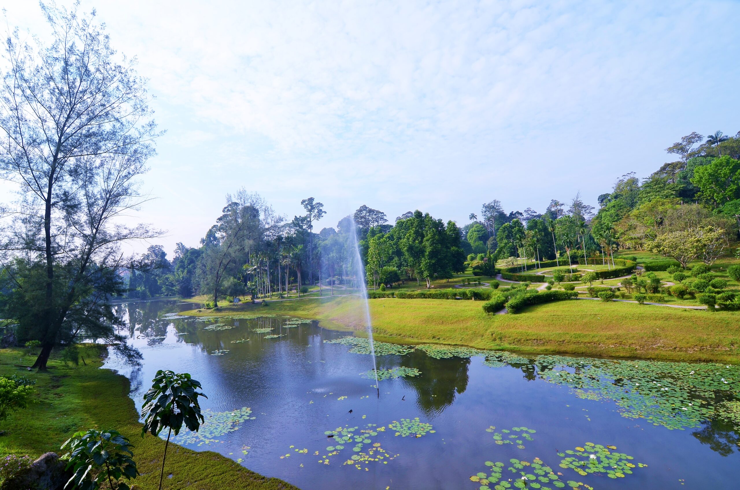 https://mdw-travel-data-us-east-1.s3.amazonaws.com/img/country/Malaysia/Taman-Botani-Negara-Shah-Alam/img_02.jpg