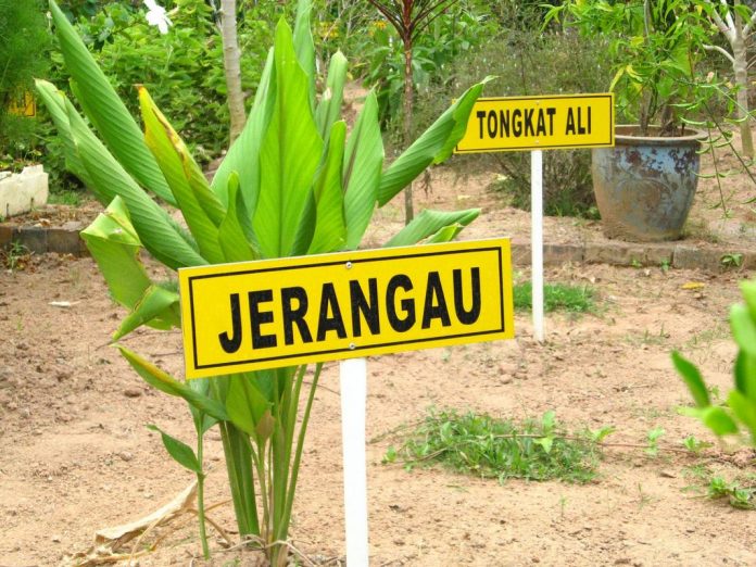https://mdw-travel-data-us-east-1.s3.amazonaws.com/img/country/Malaysia/Taman-Herba-Negeri-Perak/img_03.jpg