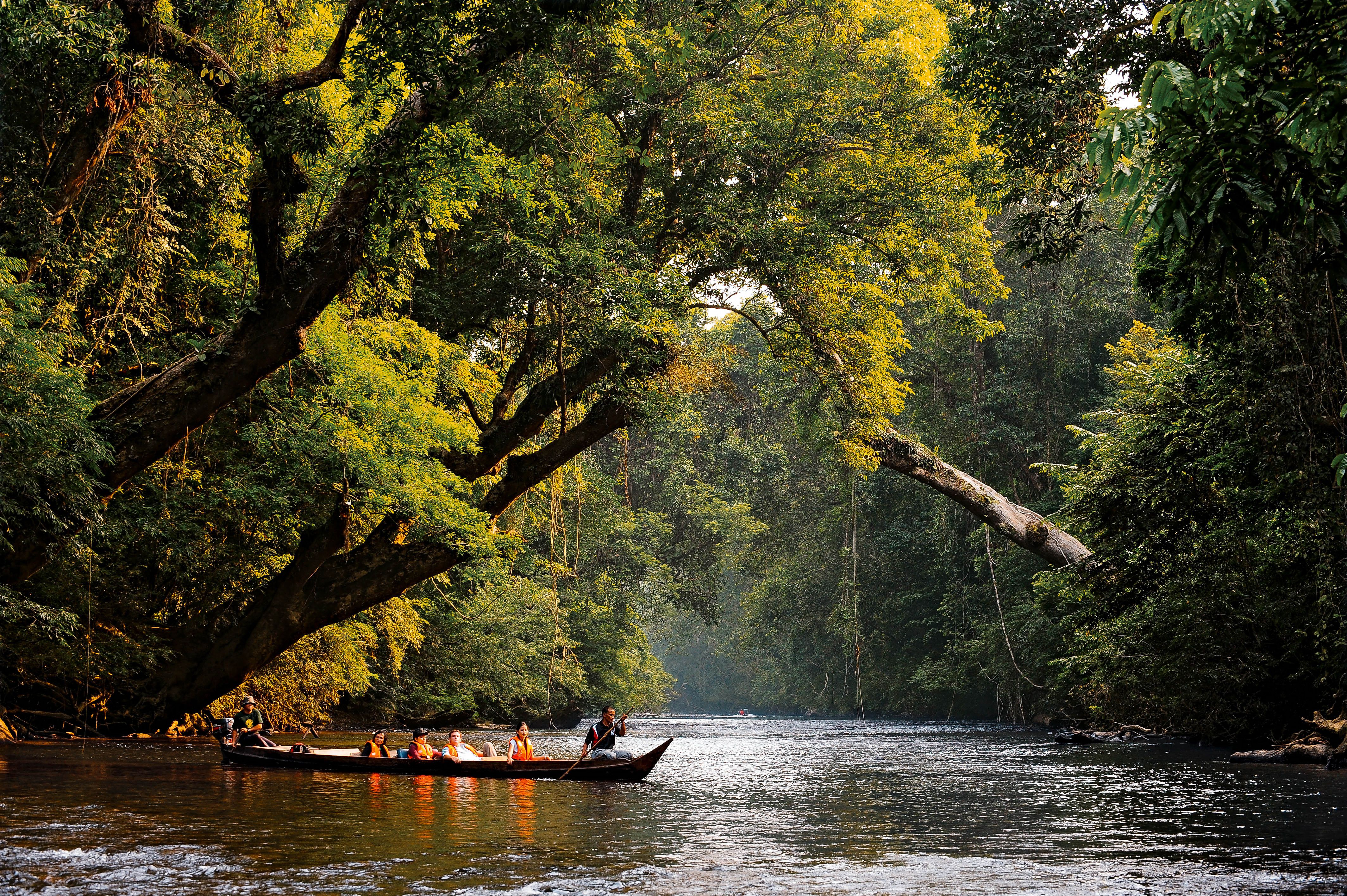 https://mdw-travel-data-us-east-1.s3.amazonaws.com/img/country/Malaysia/Taman-Negara-National-Park/img_02.jpg