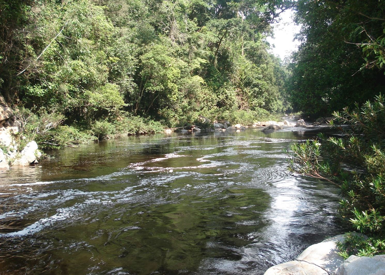 https://mdw-travel-data-us-east-1.s3.amazonaws.com/img/country/Malaysia/Taman-Negara-National-Park/img_03.jpg