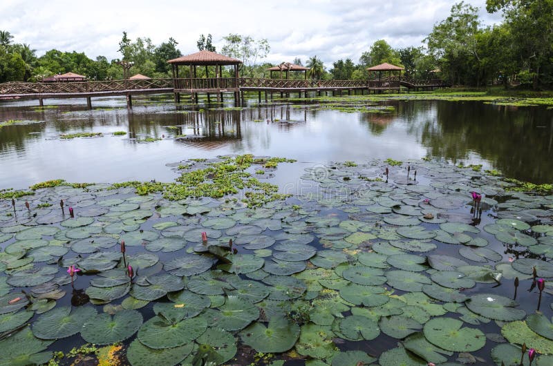 https://mdw-travel-data-us-east-1.s3.amazonaws.com/img/country/Malaysia/Taman-Rekreasi-Tasik-Y/img_03.jpg