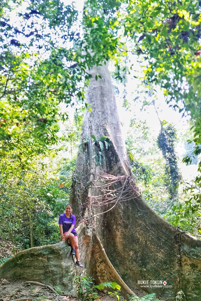 https://mdw-travel-data-us-east-1.s3.amazonaws.com/img/country/Malaysia/Tokun-Hill/img_01.jpg