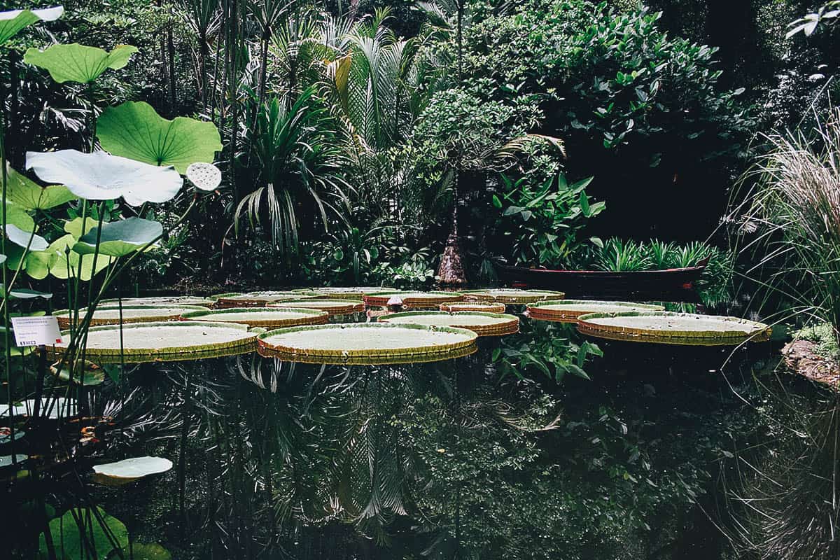 https://mdw-travel-data-us-east-1.s3.amazonaws.com/img/country/Malaysia/Tropical-Spice-Garden/img_02.jpg