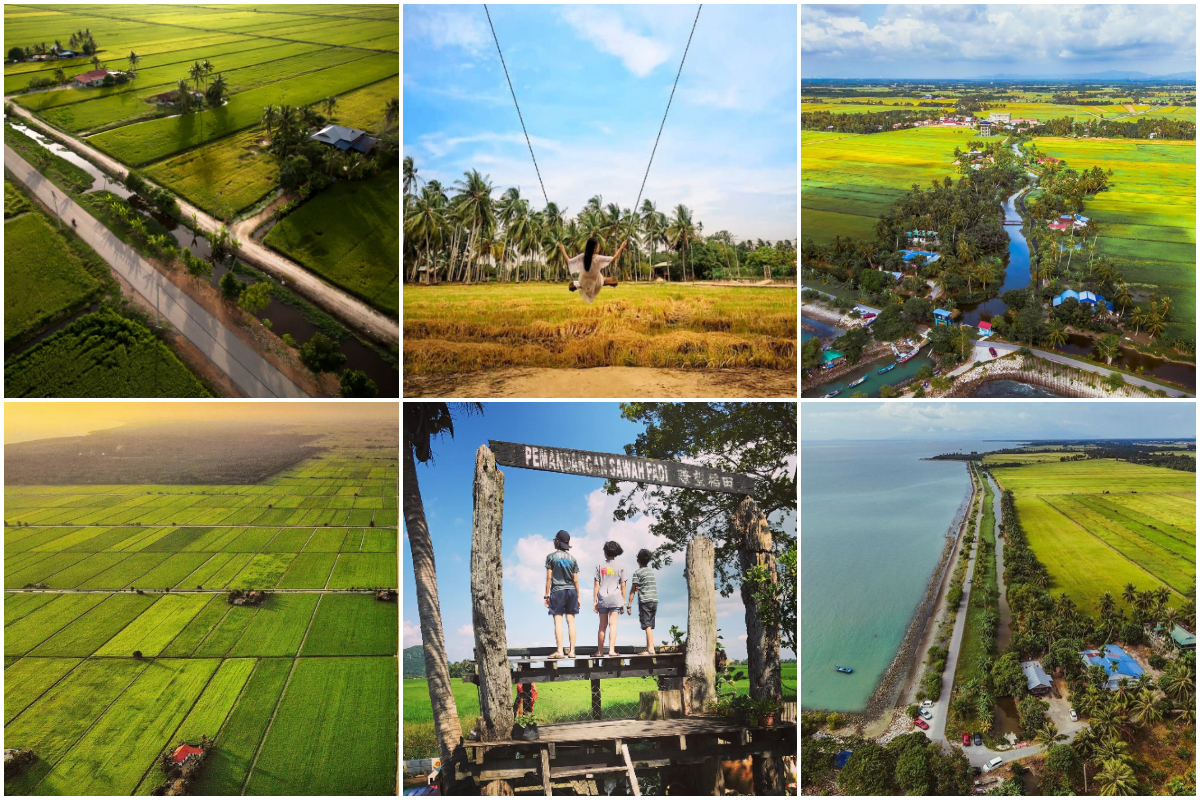 https://mdw-travel-data-us-east-1.s3.amazonaws.com/img/country/Malaysia/Twa-Padi/img_03.jpg