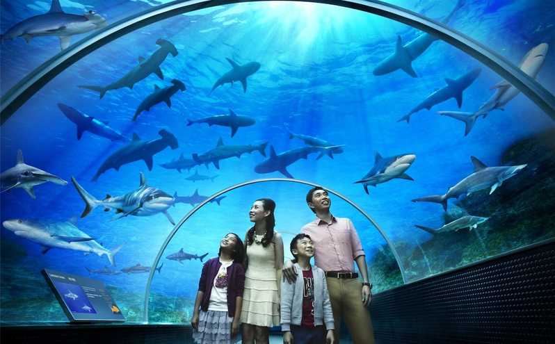 https://mdw-travel-data-us-east-1.s3.amazonaws.com/img/country/Malaysia/Underwater-World-Langkawi/img_00.jpg