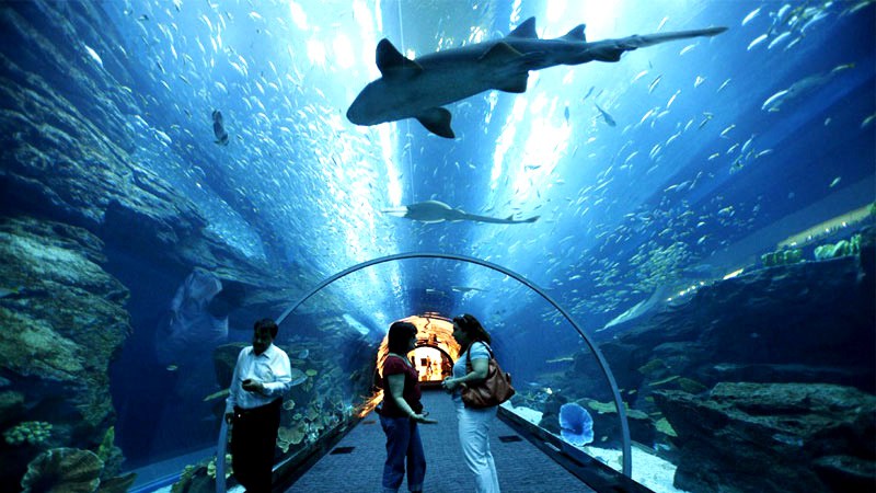 https://mdw-travel-data-us-east-1.s3.amazonaws.com/img/country/Malaysia/Underwater-World-Langkawi/img_02.jpg