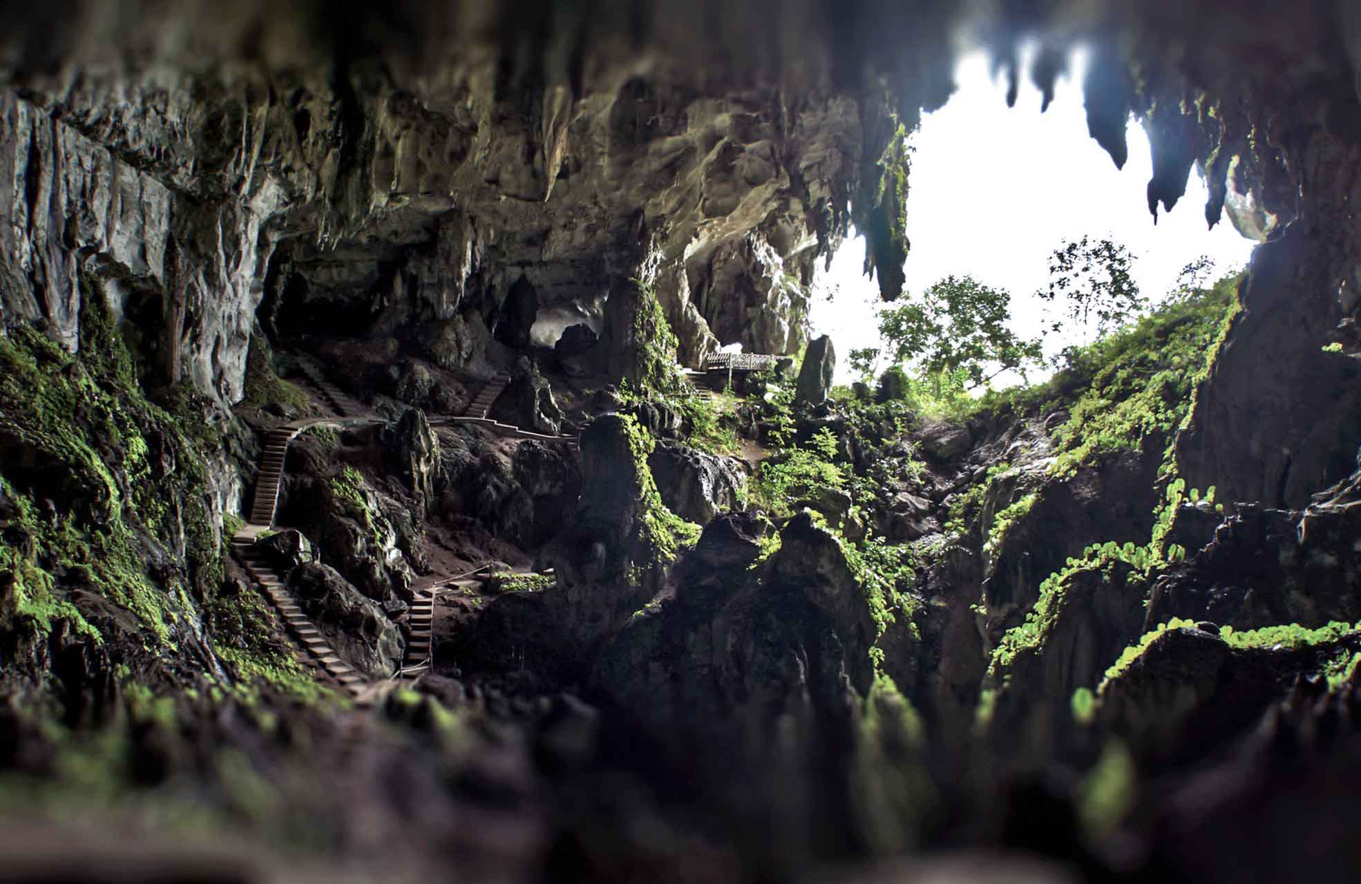 https://mdw-travel-data-us-east-1.s3.amazonaws.com/img/country/Malaysia/Wind-Caves-&-Fairy-Caves/img_01.jpg