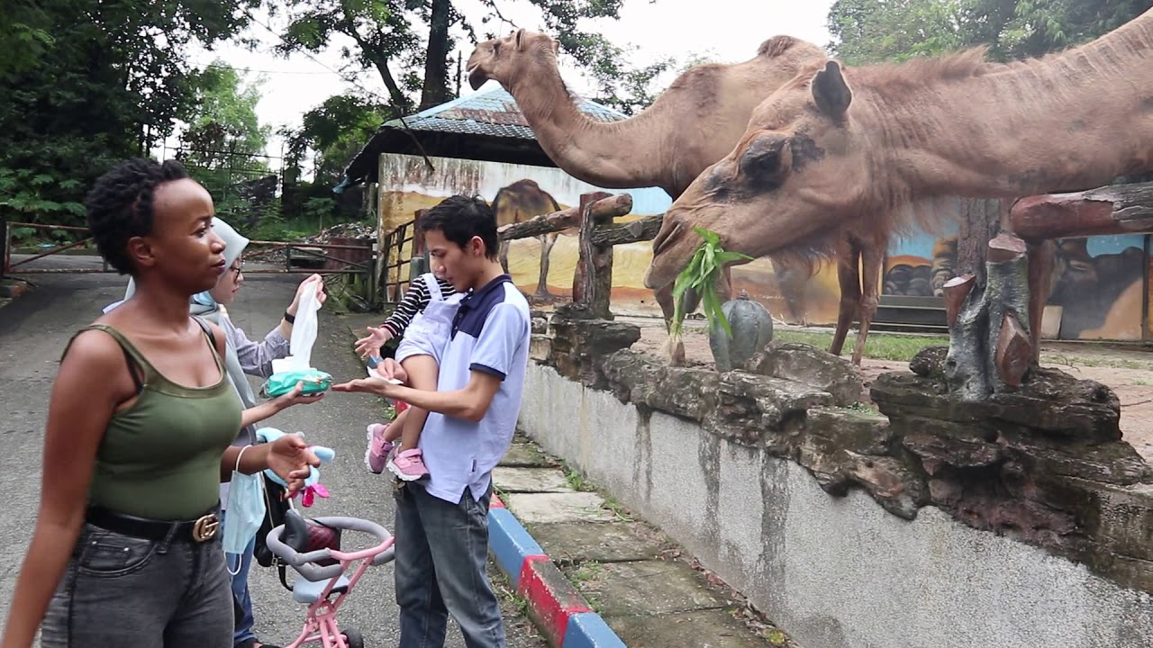 https://mdw-travel-data-us-east-1.s3.amazonaws.com/img/country/Malaysia/Zoo-Johor/img_03.jpg