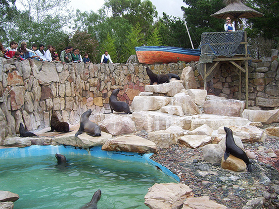 https://mdw-travel-data-us-east-1.s3.amazonaws.com/img/country/Mexico/Acuario-de-Acapulco/img_03.jpg