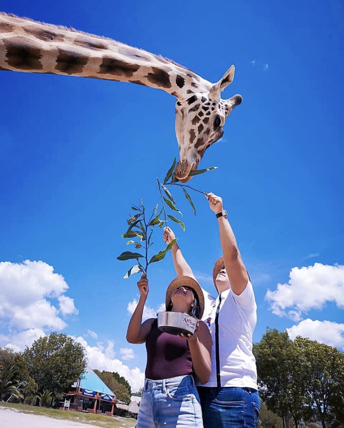 https://mdw-travel-data-us-east-1.s3.amazonaws.com/img/country/Mexico/Africam-Safari/img_03.jpg