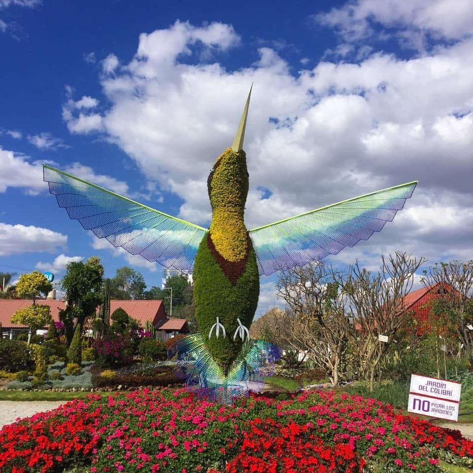https://mdw-travel-data-us-east-1.s3.amazonaws.com/img/country/Mexico/Atlixco-Butterfly-Garden/img_02.jpg