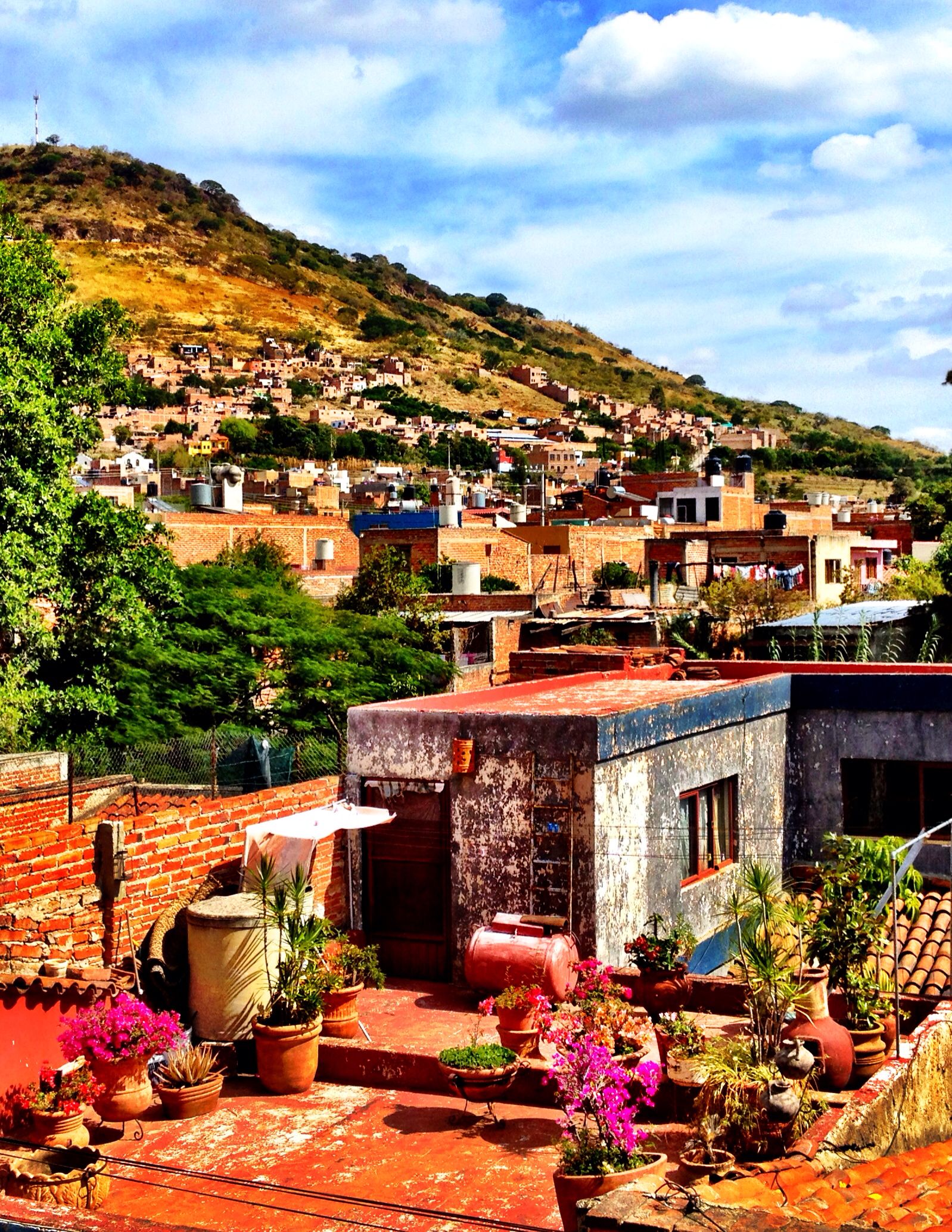 https://mdw-travel-data-us-east-1.s3.amazonaws.com/img/country/Mexico/Atotonilco-el-Alto/img_01.jpg