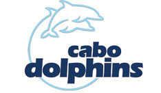 https://mdw-travel-data-us-east-1.s3.amazonaws.com/img/country/Mexico/Cabo-Dolphins/img_00.jpg