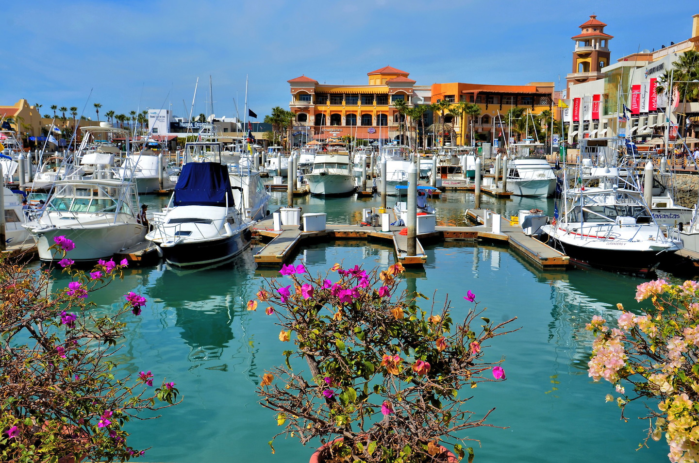 https://mdw-travel-data-us-east-1.s3.amazonaws.com/img/country/Mexico/Cabo-San-Lucas-Marina/img_01.jpg