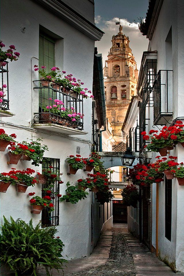 https://mdw-travel-data-us-east-1.s3.amazonaws.com/img/country/Mexico/Callejon-del-Beso/img_02.jpg