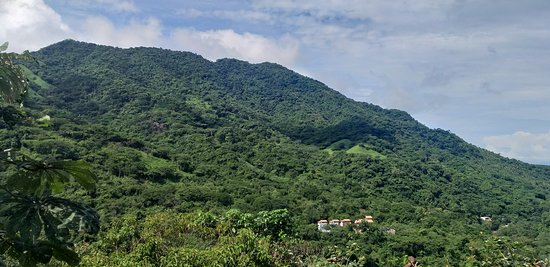 https://mdw-travel-data-us-east-1.s3.amazonaws.com/img/country/Mexico/Canopy-River/img_01.jpg