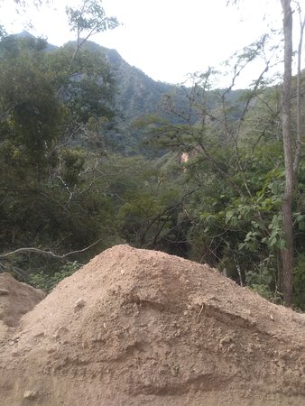 https://mdw-travel-data-us-east-1.s3.amazonaws.com/img/country/Mexico/Canopy-River/img_02.jpg