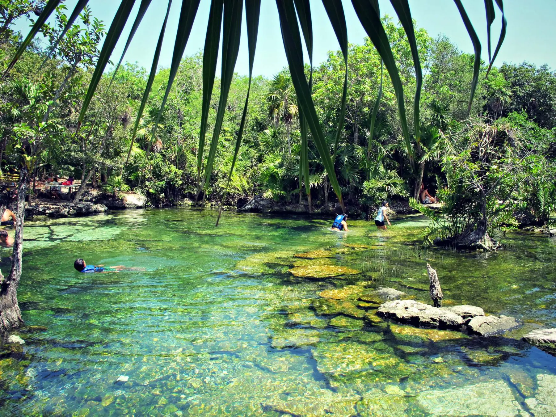 https://mdw-travel-data-us-east-1.s3.amazonaws.com/img/country/Mexico/Cenote-Azul/img_02.jpg