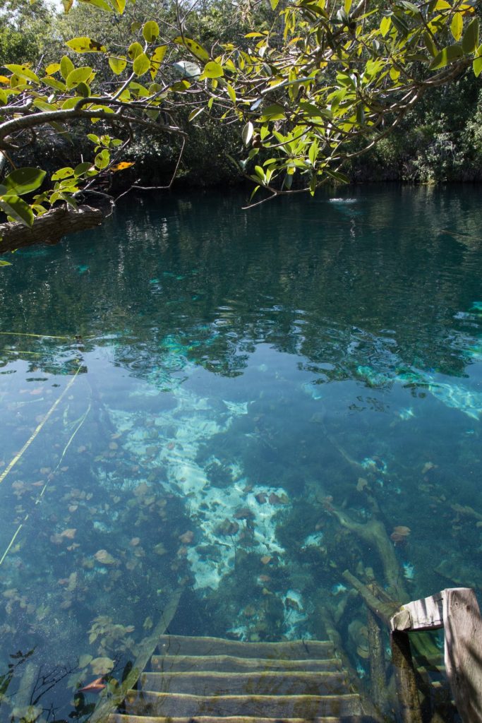 https://mdw-travel-data-us-east-1.s3.amazonaws.com/img/country/Mexico/Cenote-Carwash/img_02.jpg