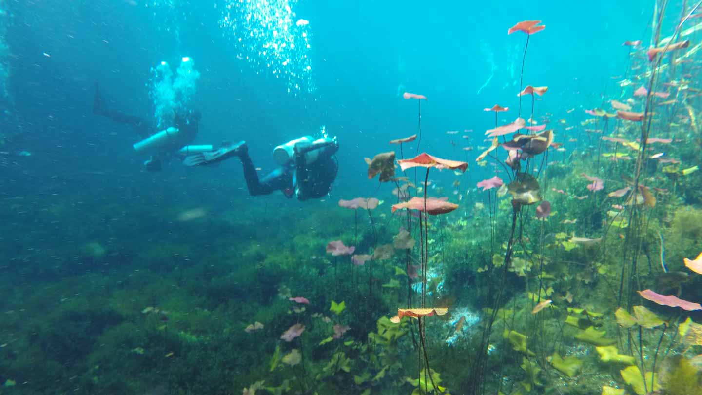 https://mdw-travel-data-us-east-1.s3.amazonaws.com/img/country/Mexico/Cenote-Carwash/img_03.jpg