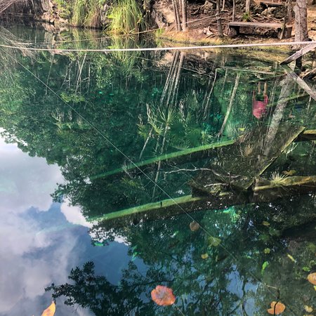 https://mdw-travel-data-us-east-1.s3.amazonaws.com/img/country/Mexico/Cenote-Cristal/img_03.jpg