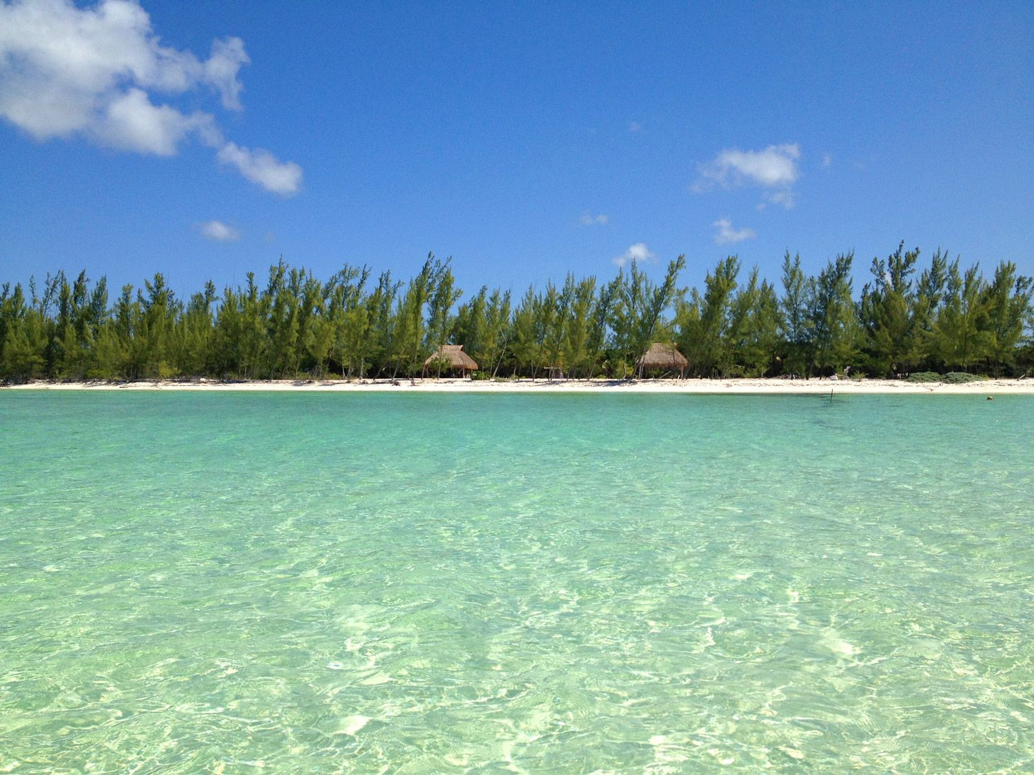 https://mdw-travel-data-us-east-1.s3.amazonaws.com/img/country/Mexico/Cozumel-Pearl-Farm/img_03.jpg