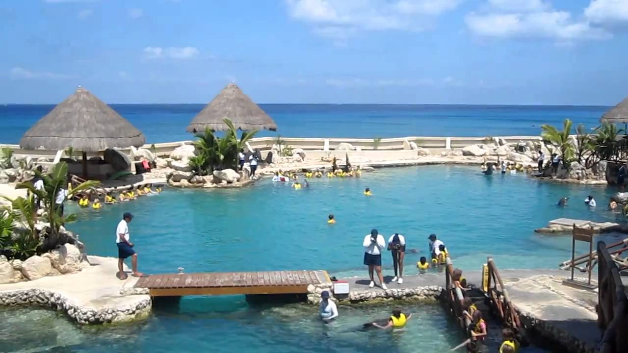 https://mdw-travel-data-us-east-1.s3.amazonaws.com/img/country/Mexico/Dolphinaris-Cozumel/img_01.jpg