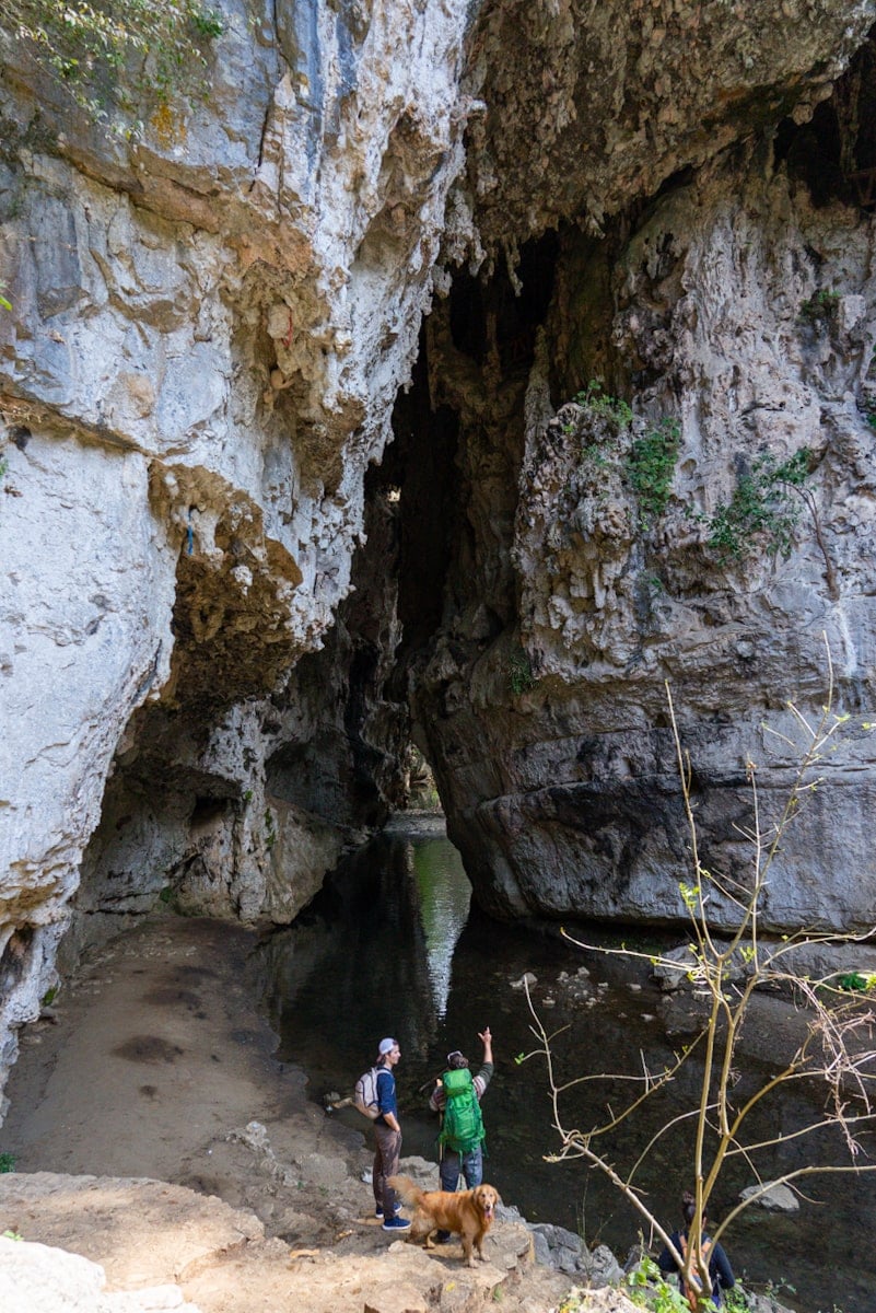 https://mdw-travel-data-us-east-1.s3.amazonaws.com/img/country/Mexico/El-Arcotete-Ecotourism-Park/img_02.jpg