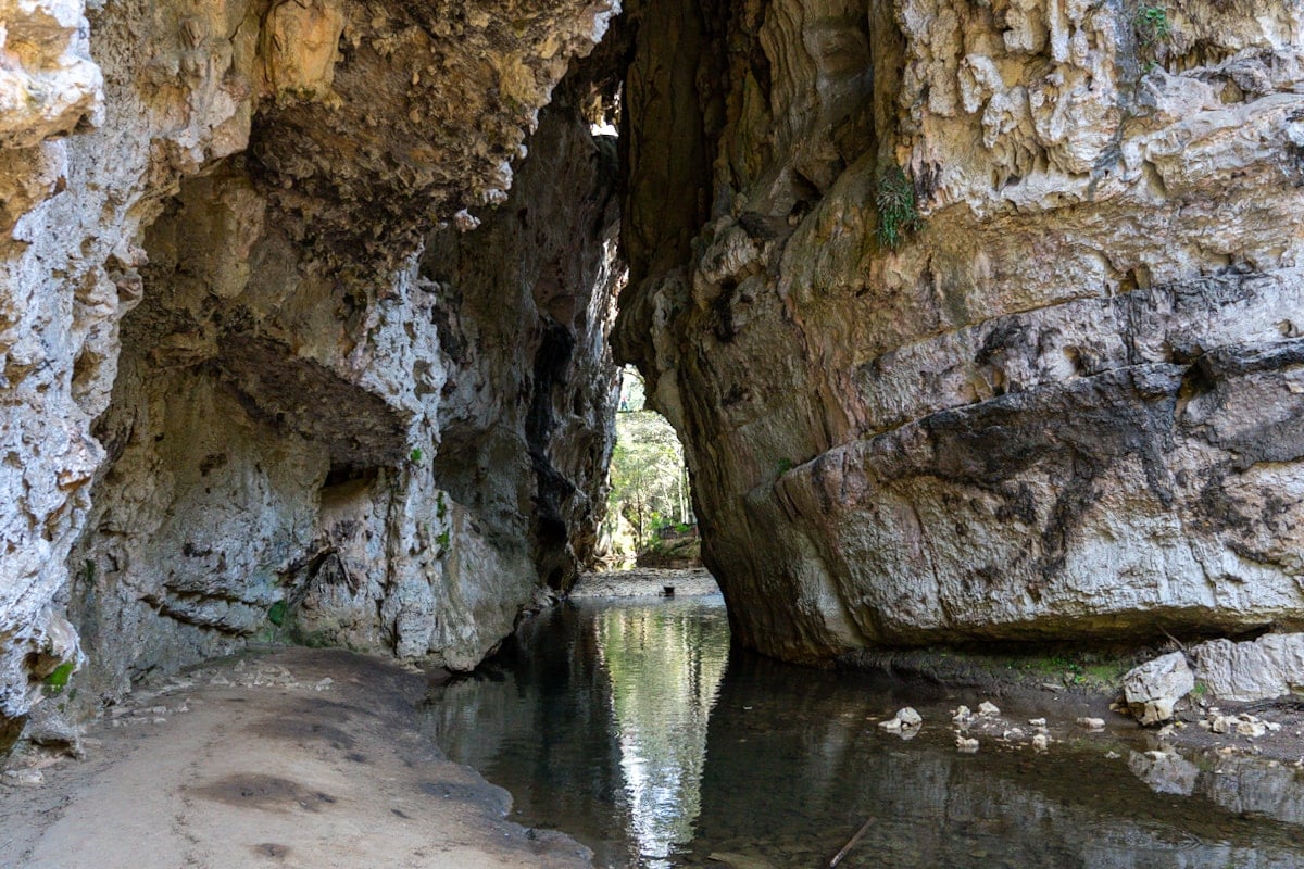 https://mdw-travel-data-us-east-1.s3.amazonaws.com/img/country/Mexico/El-Arcotete/img_01.jpg