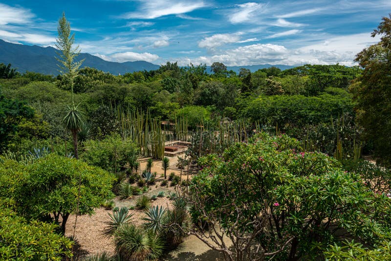 https://mdw-travel-data-us-east-1.s3.amazonaws.com/img/country/Mexico/Ethnobotanical-Garden-of-Oaxaca/img_02.jpg