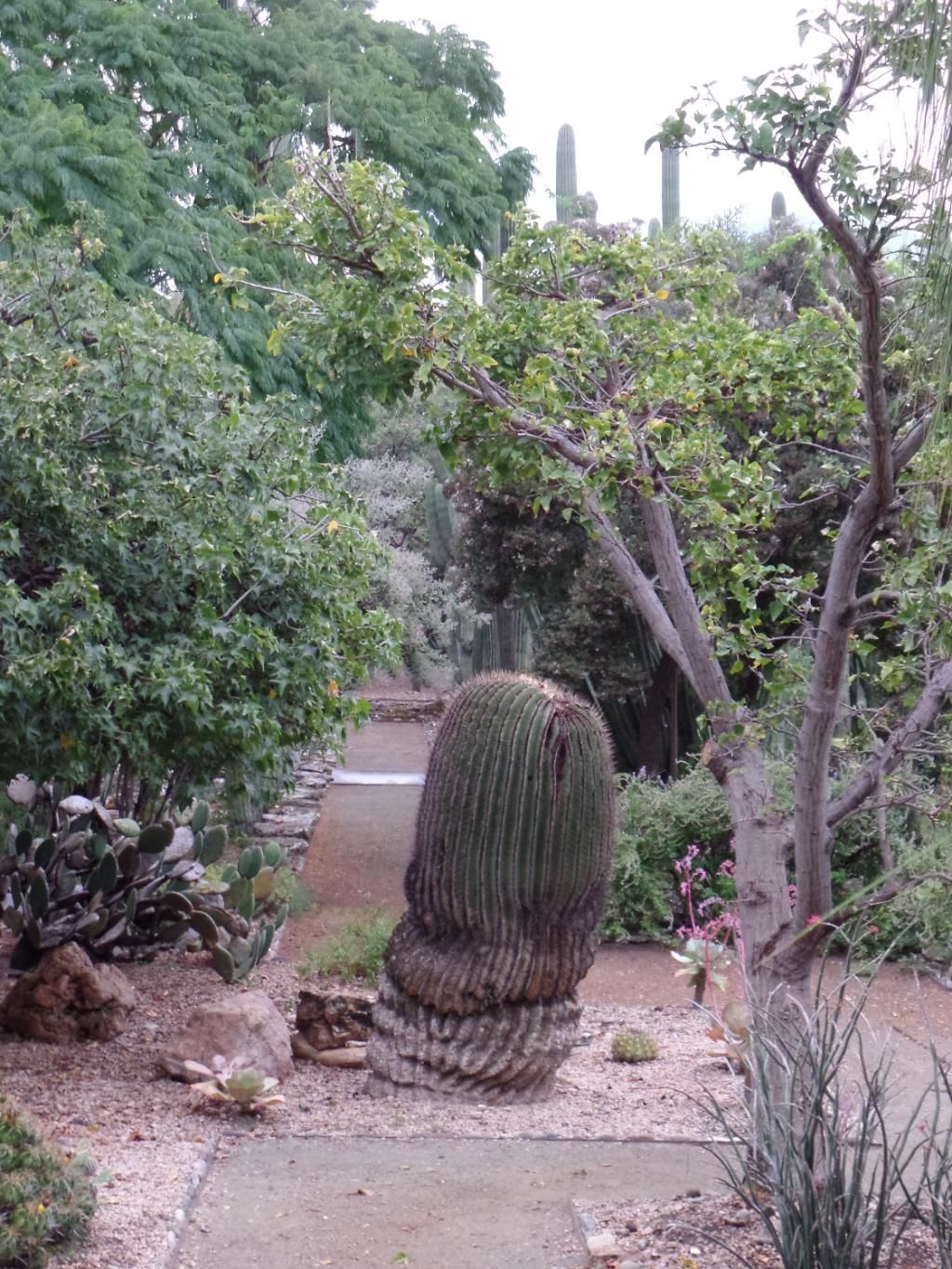 https://mdw-travel-data-us-east-1.s3.amazonaws.com/img/country/Mexico/Ethnobotanical-Garden-of-Oaxaca/img_03.jpg