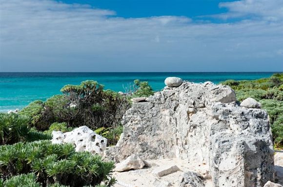 https://mdw-travel-data-us-east-1.s3.amazonaws.com/img/country/Mexico/Faro-Celerain-Eco-Park/img_00.jpg