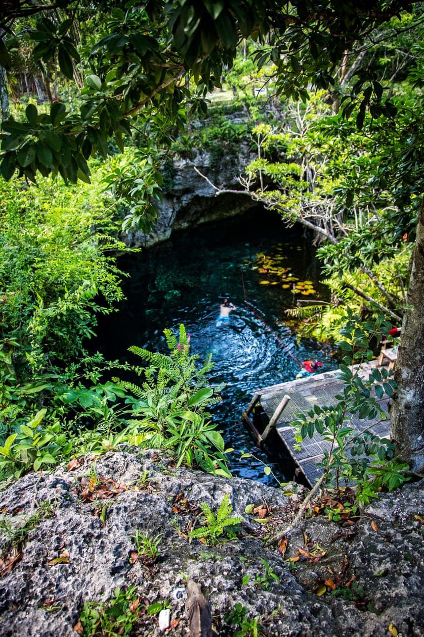 https://mdw-travel-data-us-east-1.s3.amazonaws.com/img/country/Mexico/Gran-Cenote/img_01.jpg