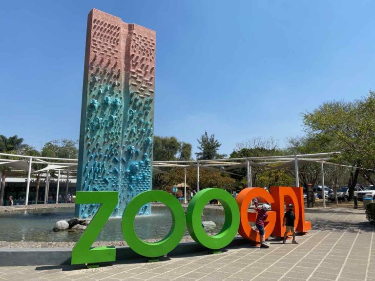 https://mdw-travel-data-us-east-1.s3.amazonaws.com/img/country/Mexico/Guadalajara-Zoo-Safari/img_03.jpg