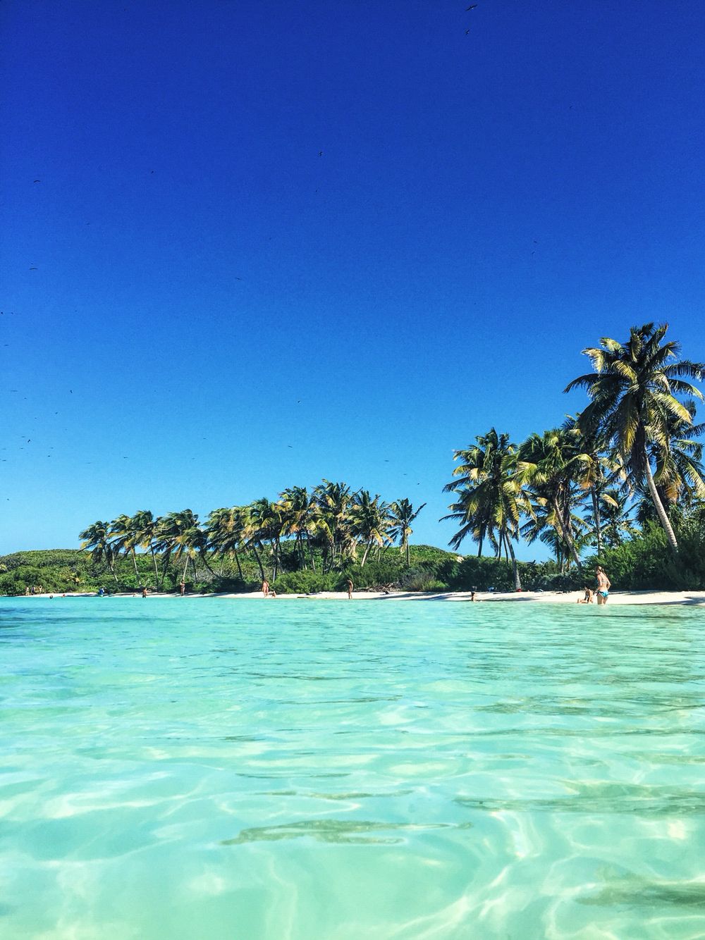 https://mdw-travel-data-us-east-1.s3.amazonaws.com/img/country/Mexico/Isla-Contoy/img_03.jpg