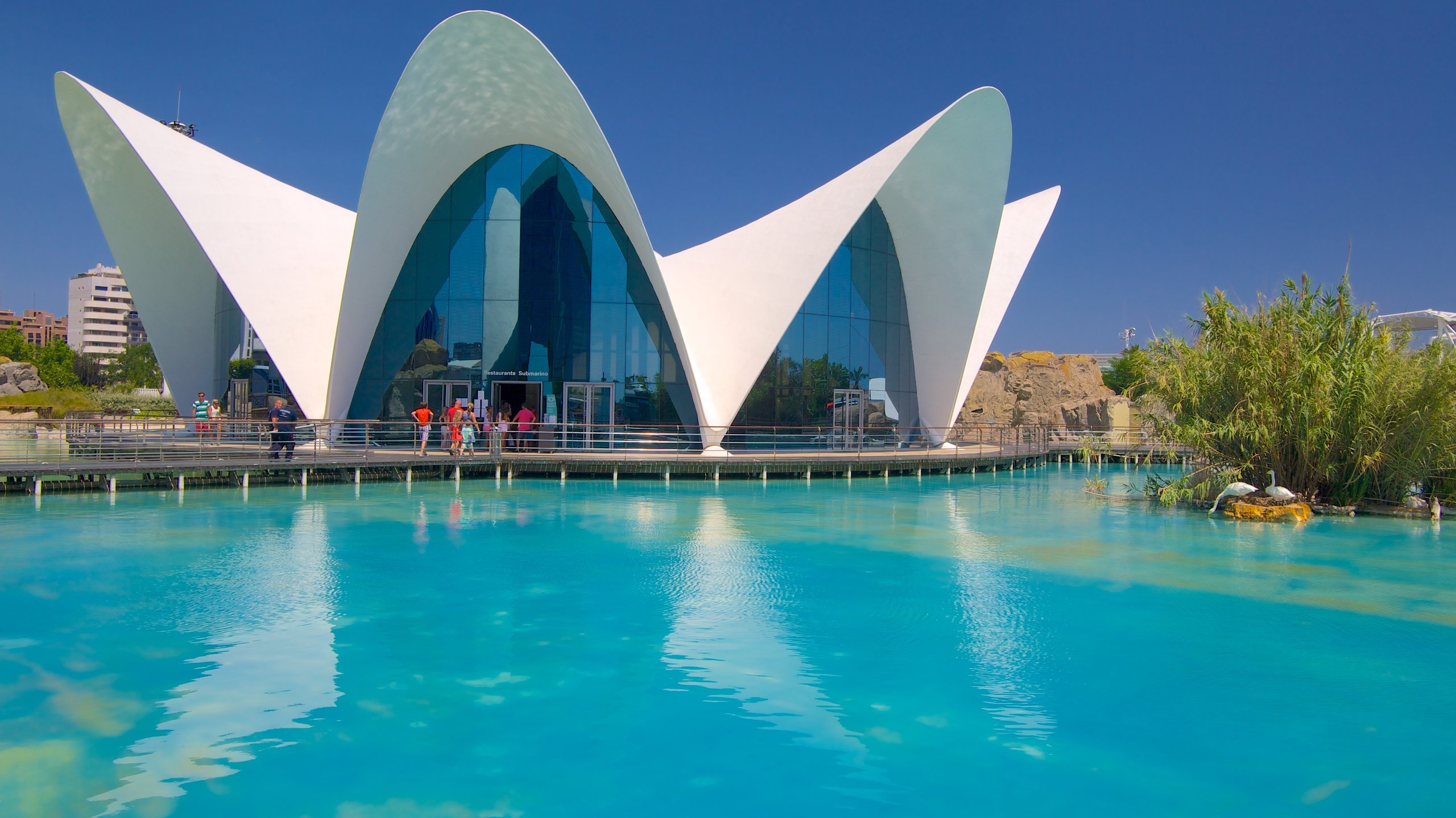 https://mdw-travel-data-us-east-1.s3.amazonaws.com/img/country/Mexico/La-Valencia/img_01.jpg