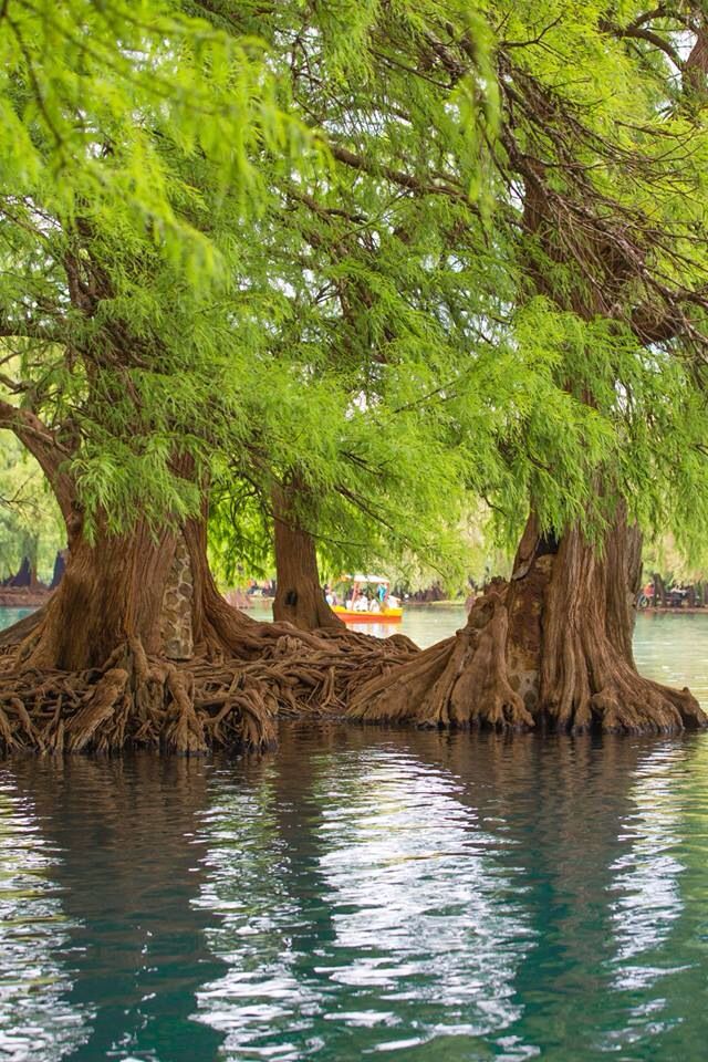 https://mdw-travel-data-us-east-1.s3.amazonaws.com/img/country/Mexico/Lago-de-Camecuaro/img_02.jpg