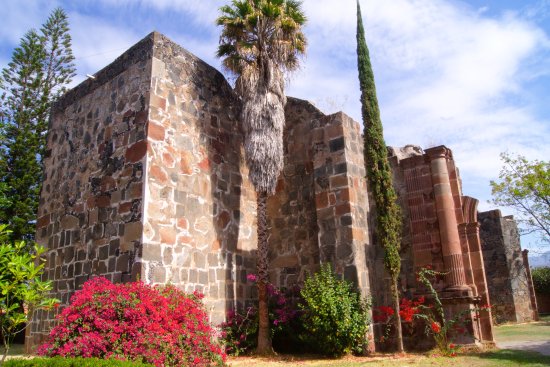 https://mdw-travel-data-us-east-1.s3.amazonaws.com/img/country/Mexico/Mascota/img_02.jpg