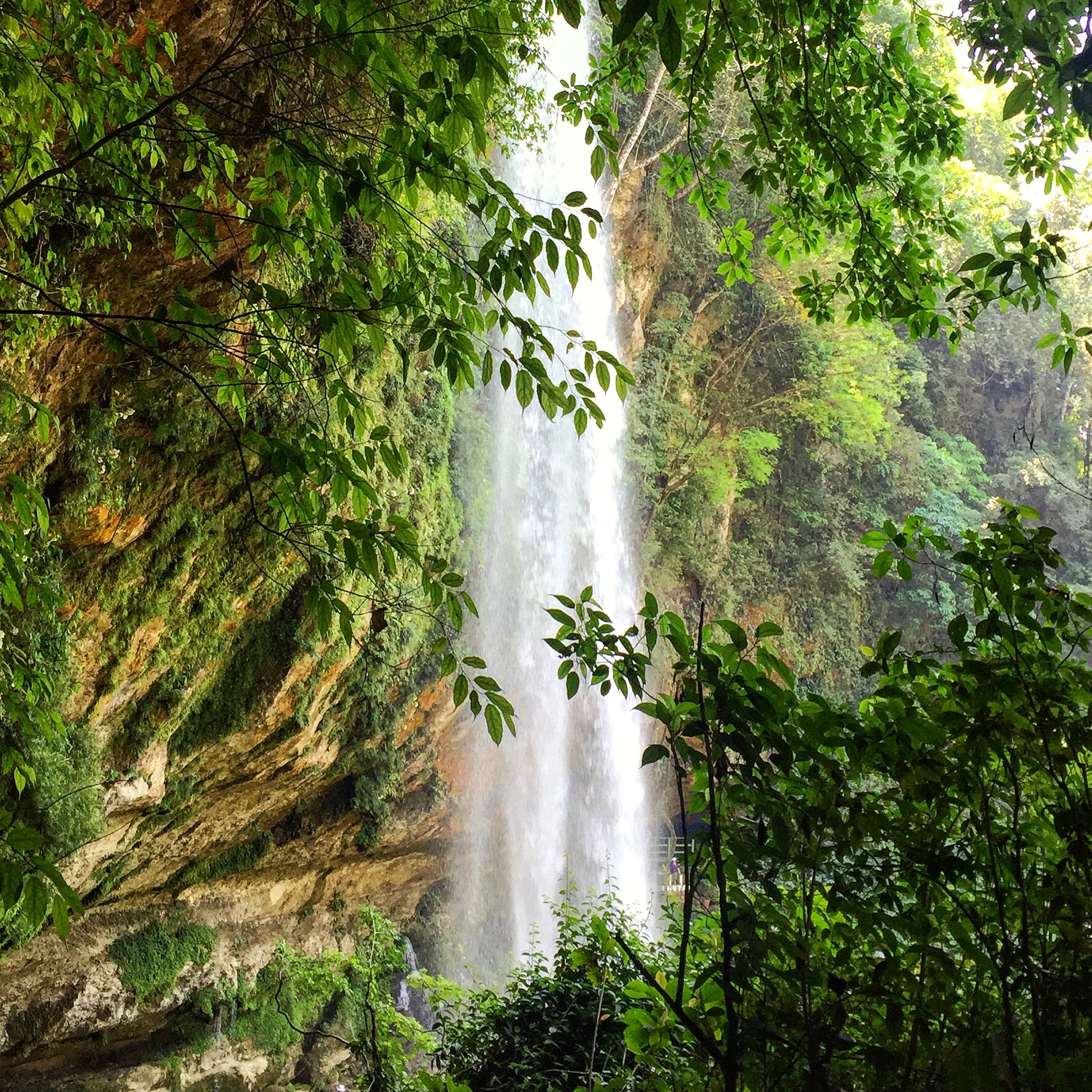 https://mdw-travel-data-us-east-1.s3.amazonaws.com/img/country/Mexico/Misol-Ha-Waterfall/img_02.jpg