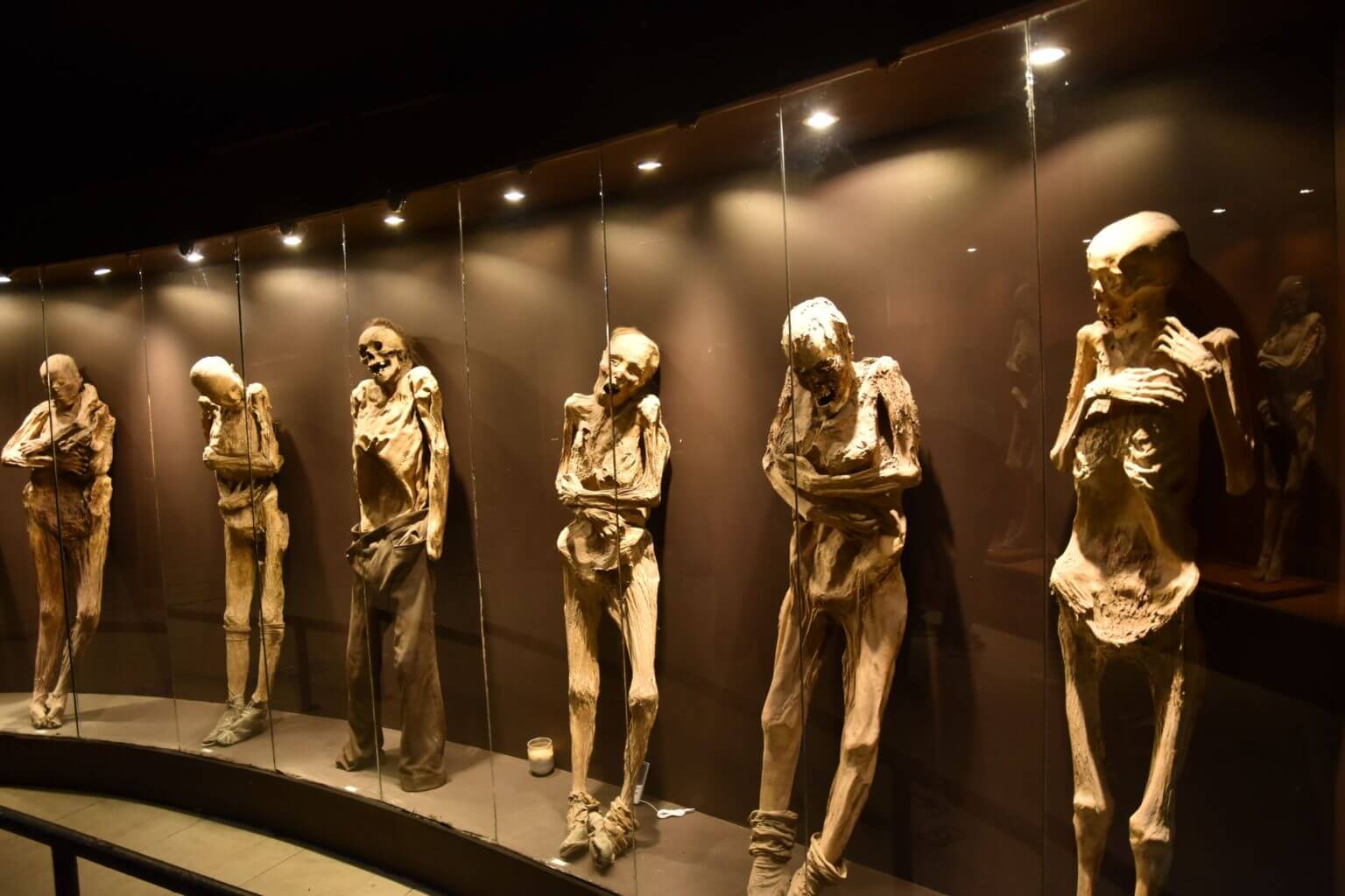 https://mdw-travel-data-us-east-1.s3.amazonaws.com/img/country/Mexico/Mummy-Museum--Museo-de-las-Momias-/img_01.jpg
