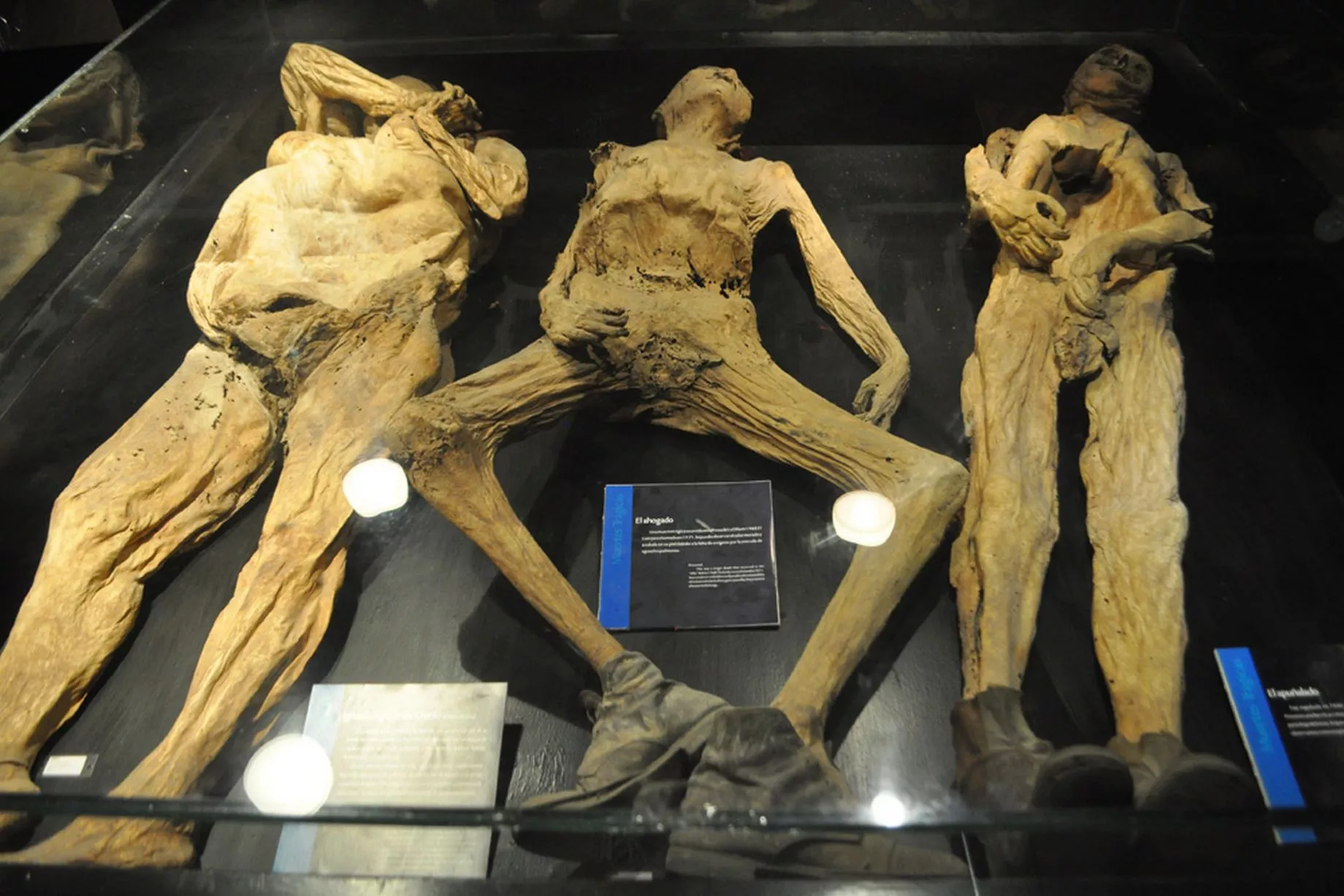 https://mdw-travel-data-us-east-1.s3.amazonaws.com/img/country/Mexico/Mummy-Museum--Museo-de-las-Momias-/img_03.jpg