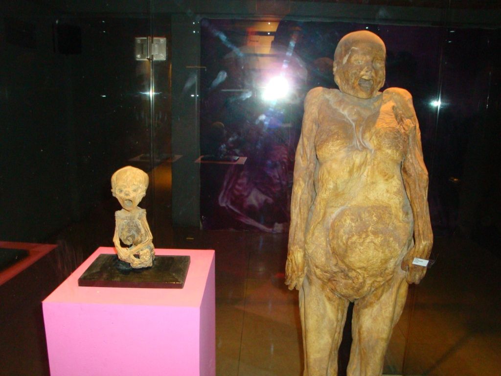 https://mdw-travel-data-us-east-1.s3.amazonaws.com/img/country/Mexico/Mummy-Museum-Museo-de-las-Momias/img_03.jpg