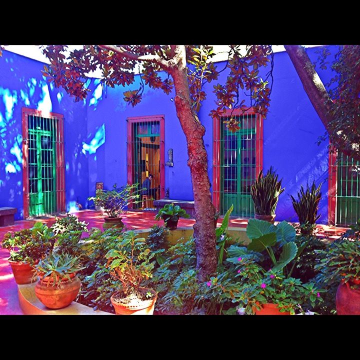https://mdw-travel-data-us-east-1.s3.amazonaws.com/img/country/Mexico/Museo-Frida-Kahlo/img_03.jpg