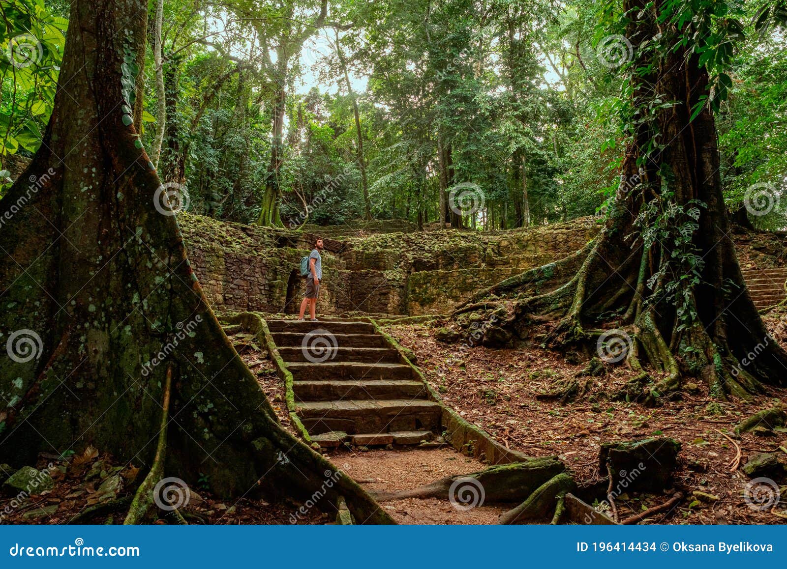 https://mdw-travel-data-us-east-1.s3.amazonaws.com/img/country/Mexico/Palenque-Archaeological-Zone/img_02.jpg