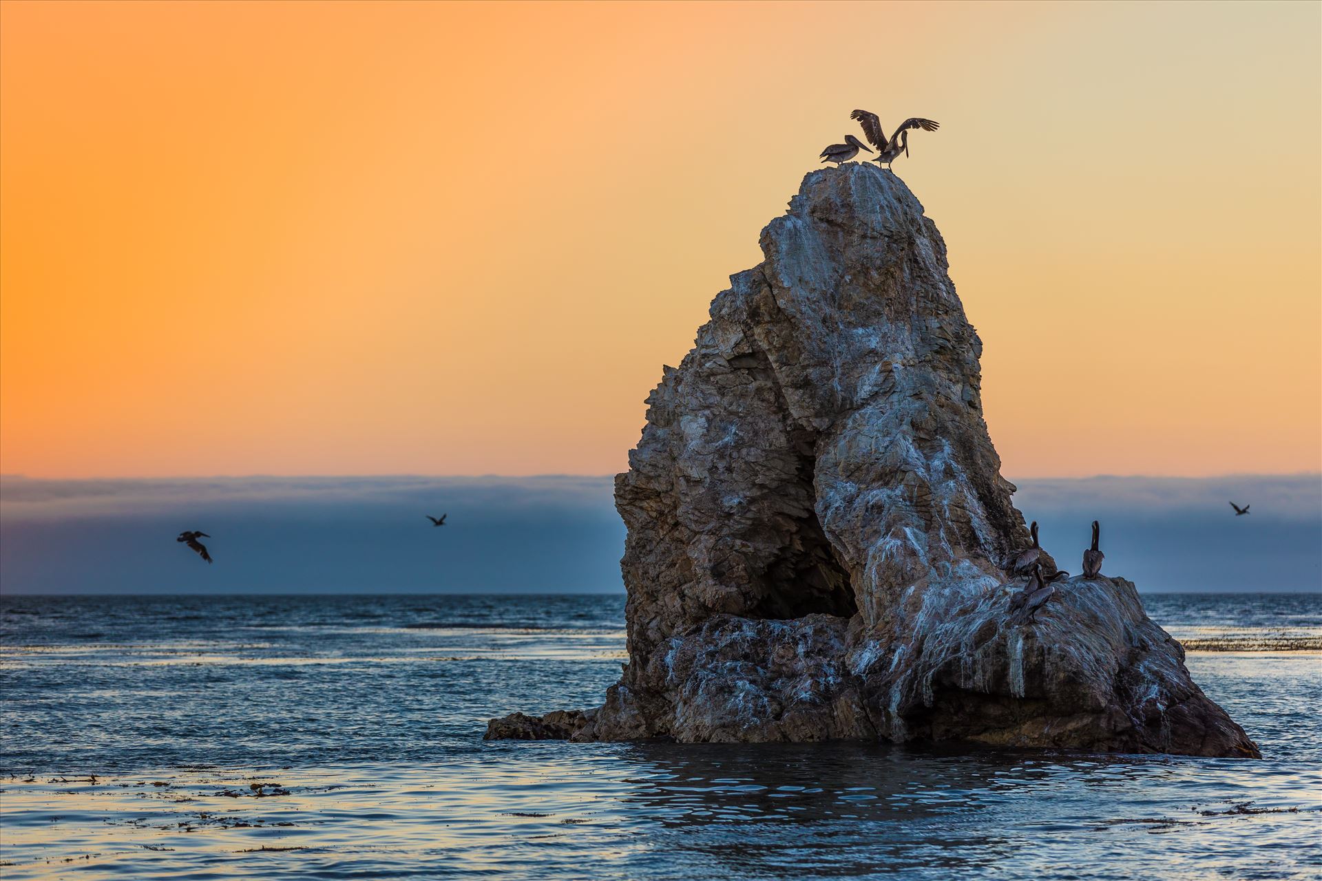 https://mdw-travel-data-us-east-1.s3.amazonaws.com/img/country/Mexico/Pelican-Rock/img_01.jpg