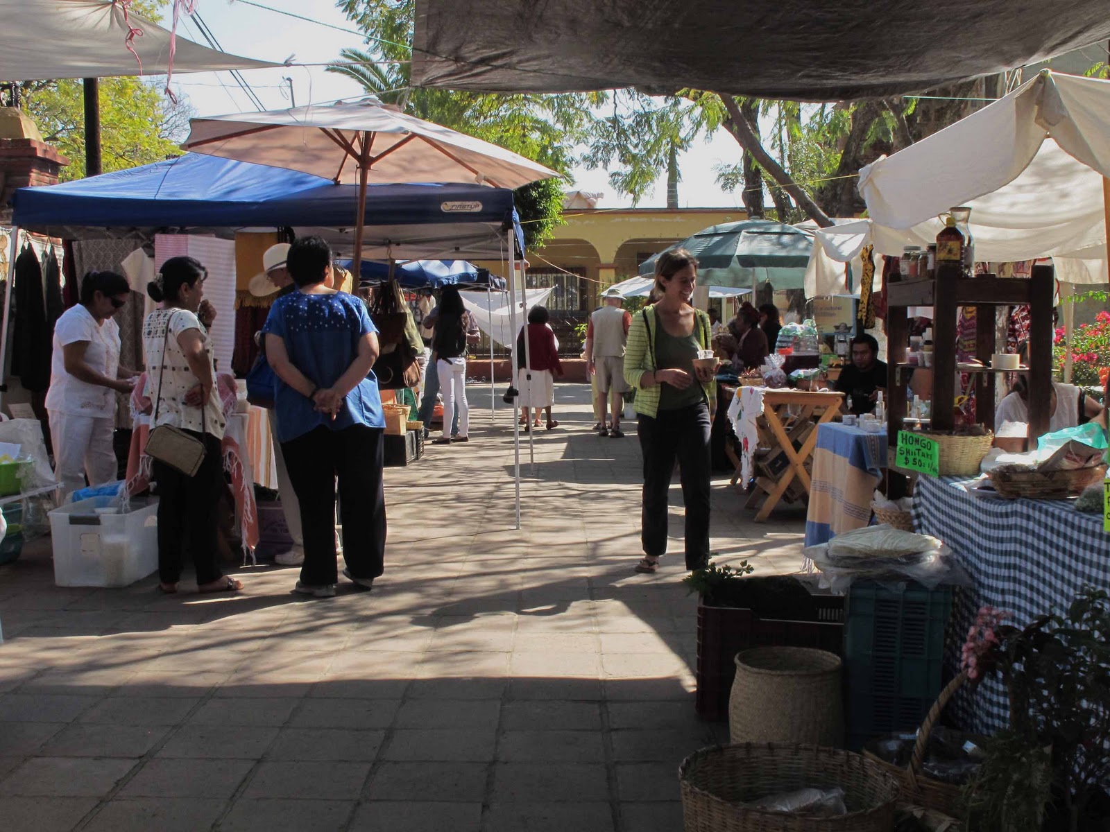 https://mdw-travel-data-us-east-1.s3.amazonaws.com/img/country/Mexico/Pochote-Organic-Market/img_03.jpg